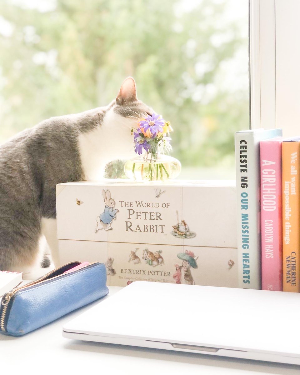 And there I was, sitting at my desk, hoping for a good stint of uninterrupted writing time before the kids got home from school...Little feline rascals. #catslife #writerslife