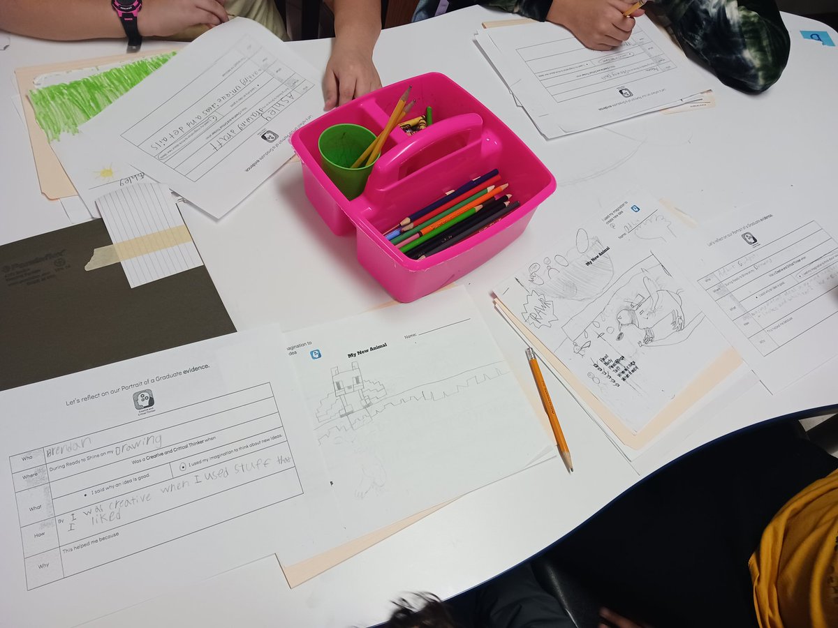 This week students in 2nd and 3rd grade took some time to learn about how they can use their evidence to reflect on how they used their Creative and Critical Thinker skills during our recent PBL.