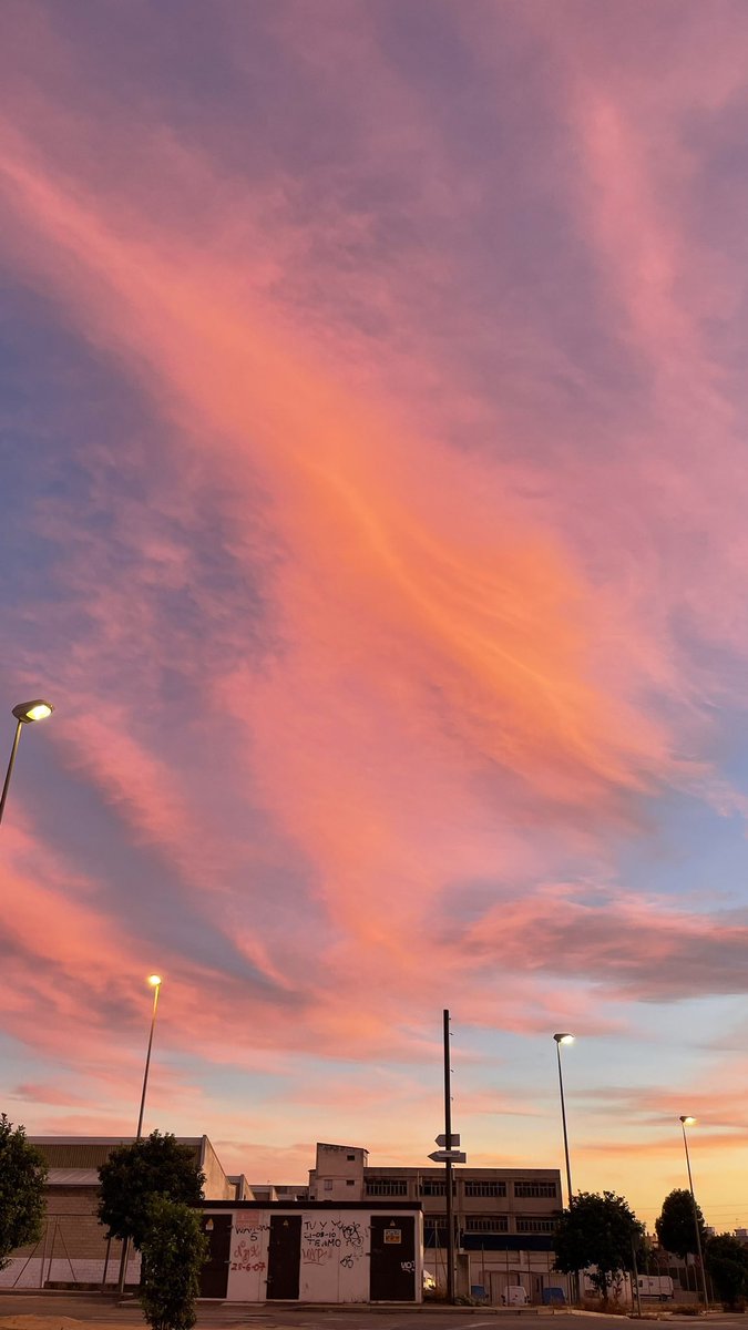 opacarofilia_'s tweet photo. el cielo es muy terapéutico https://t.co/96MJG33vaV