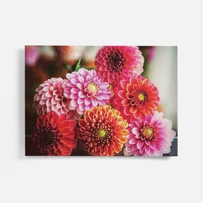 SChatto3's tweet photo. ⁦@GabyLynch9⁩ ⁦@FopianoJoy⁩ ⁦@jedwardblustein⁩ ⁦@christinedemar⁩ ⁦@jillbrown231⁩ ⁦@LMatibenga⁩ ⁦@Lopezlaila1⁩ ⁦@oldworldtravel⁩ ⁦@kathy_husser⁩ 
A 500 piece 21”x15” #puzzle in 2023 is #old_world. Nonetheless here it_iz🤗
-SC🤓 https://t.co/RT5wVGagmT