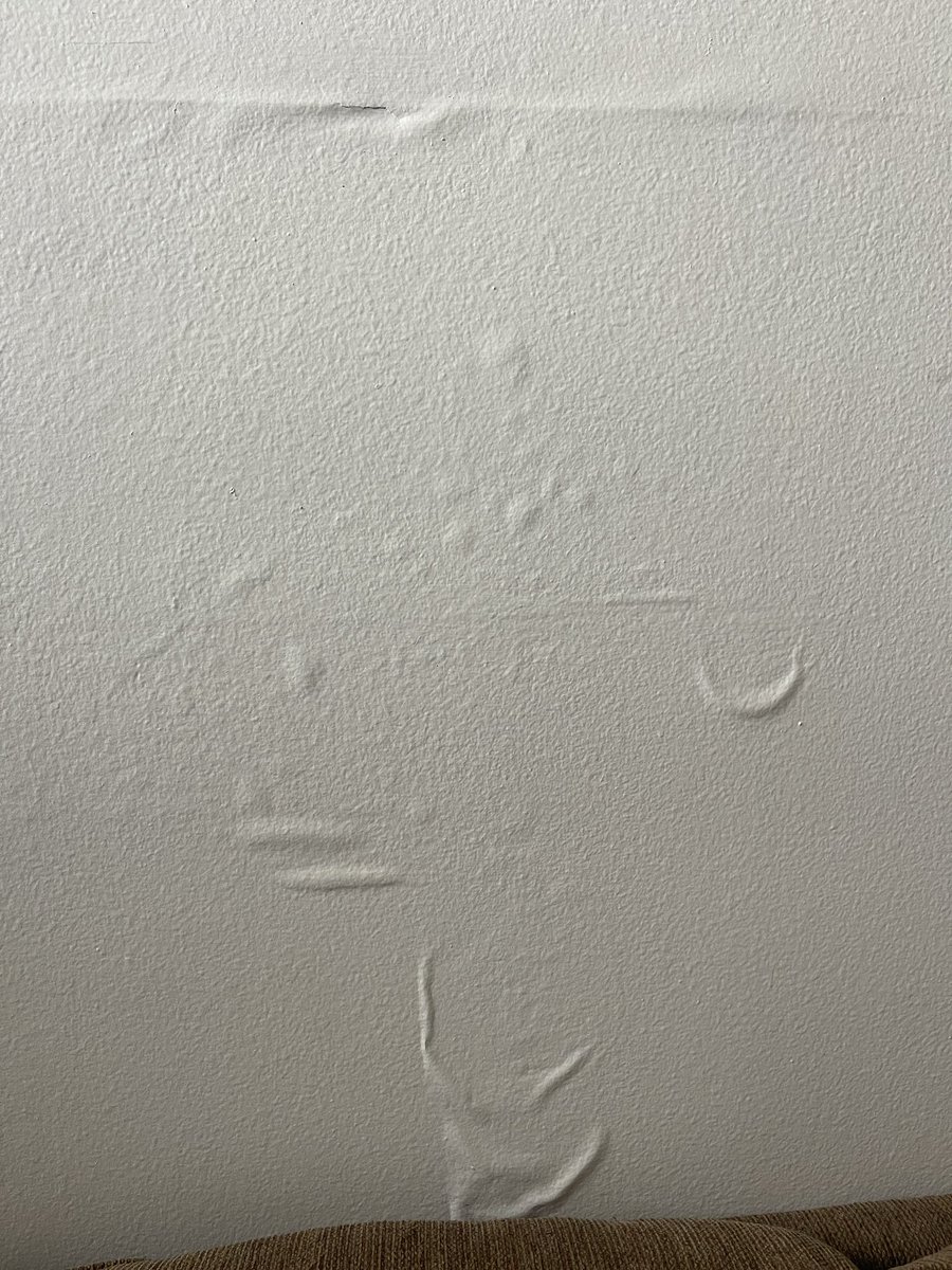 Holly Anabel Brown (she/her) on Twitter: "What else do rain leaks look