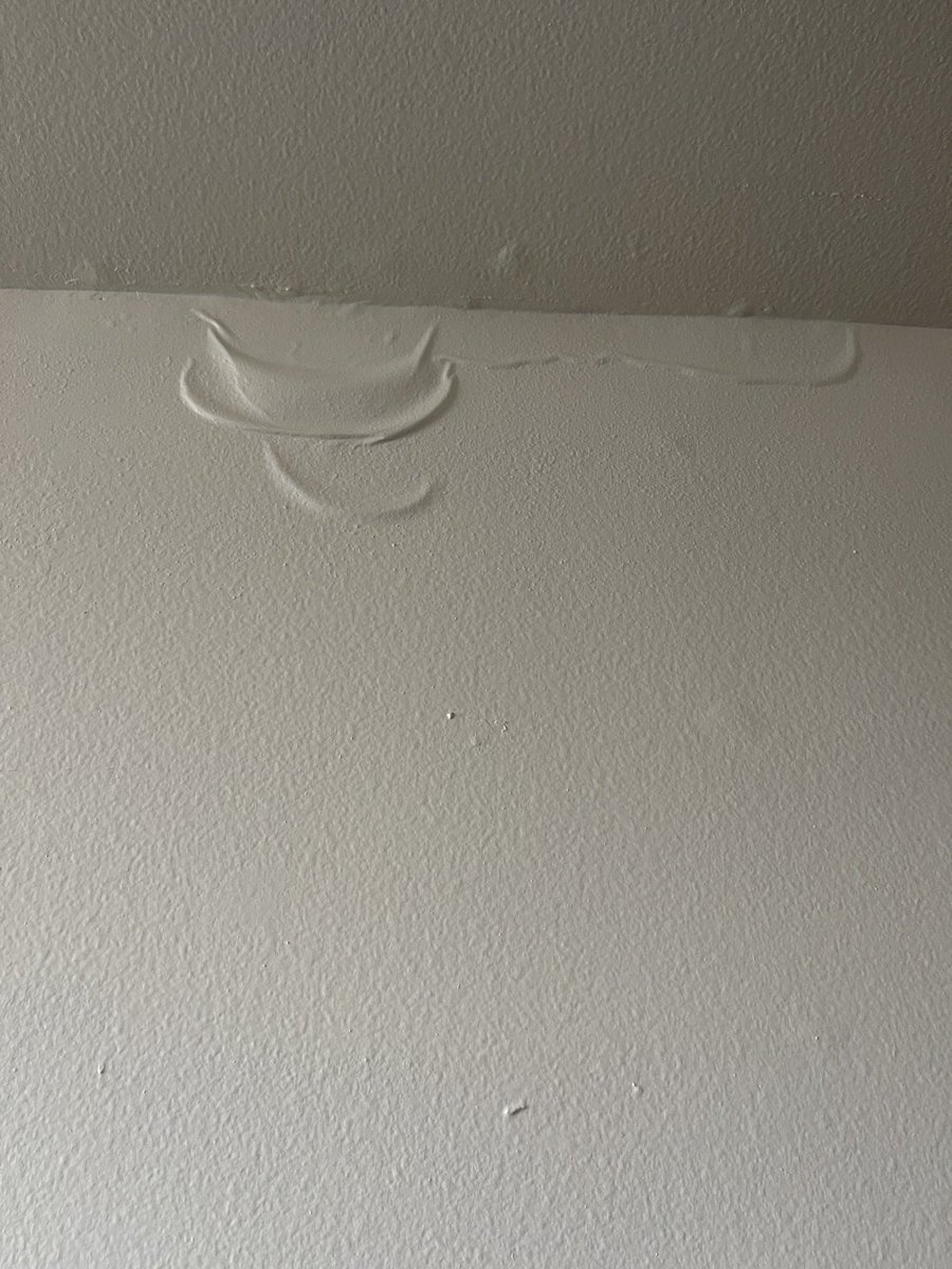 Holly Anabel Brown (she/her) on Twitter: "What else do rain leaks look