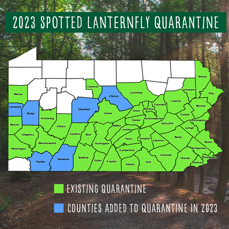 PAAgriculture's tweet photo. The quarantine area for #SpottedLanternfly has expanded. 

The following counties are newly quarantined, and residents in these areas should take caution to "look before you leave" to avoid spreading this #badbug! 

Learn more: https://t.co/wbXq3UOmdt https://t.co/gOzWx1vJ2b