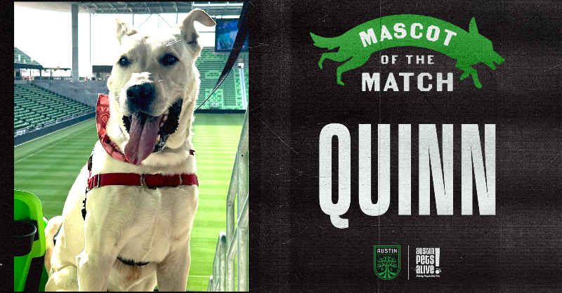 AustinFC's tweet photo. The sweetest pup!

Meet tomorrow's Honorary Mascot of the Match, Quinn, available through our friends at @austinpetsalive! 🐶