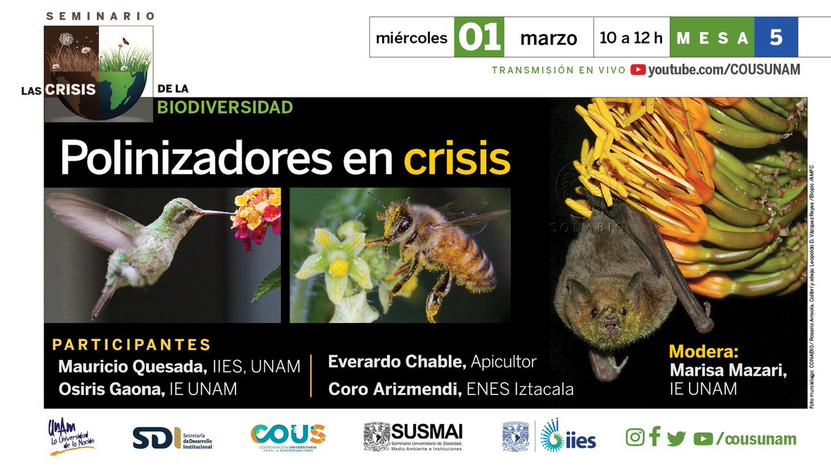 SUSMAI UNAM tweet media