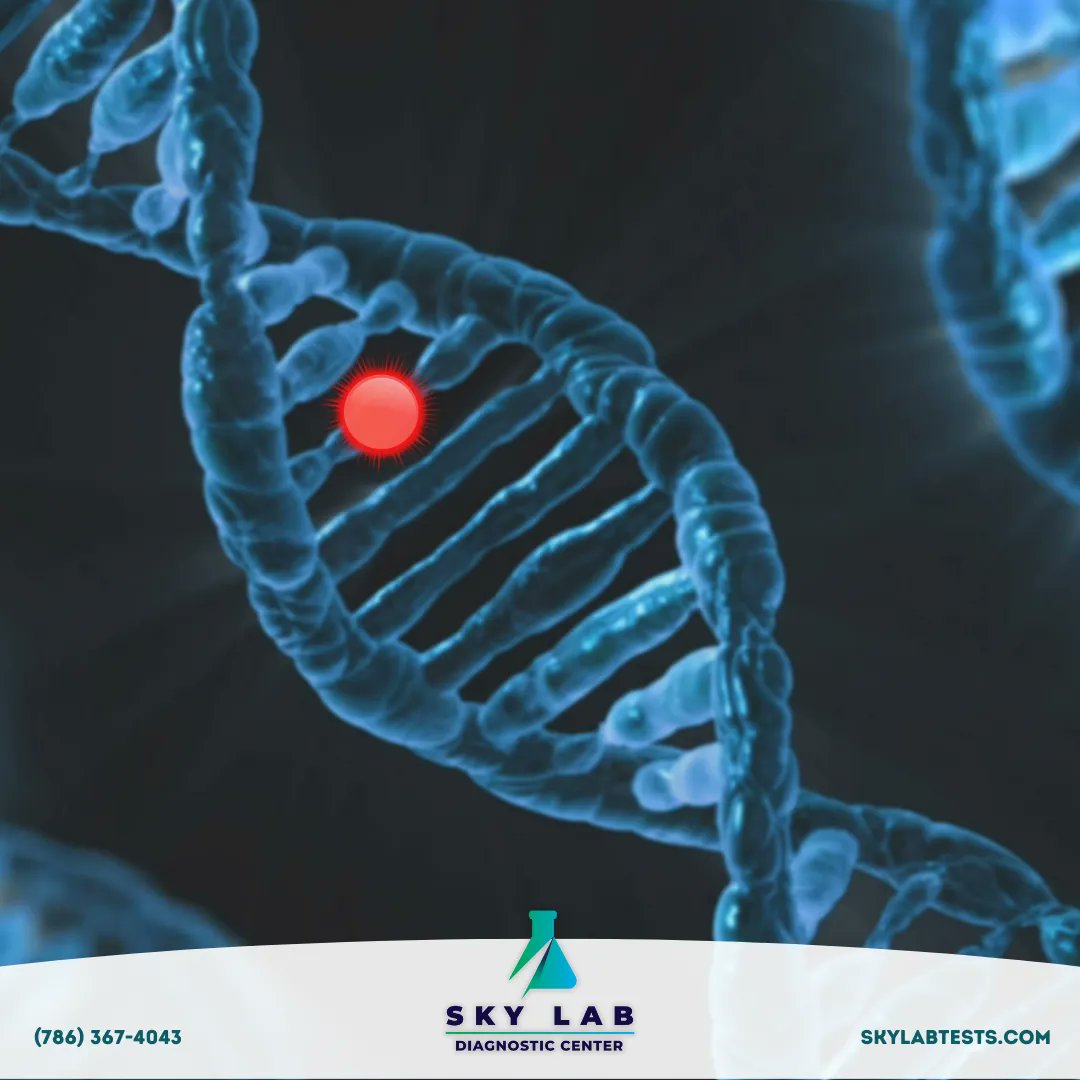 SkyMedicalEquip's tweet photo. With myGenome you can access your genomic information at any time to detect or prevent disease.

Click here to learn more: https://t.co/cN2XW2GjLW https://t.co/FfNUJjkQfK