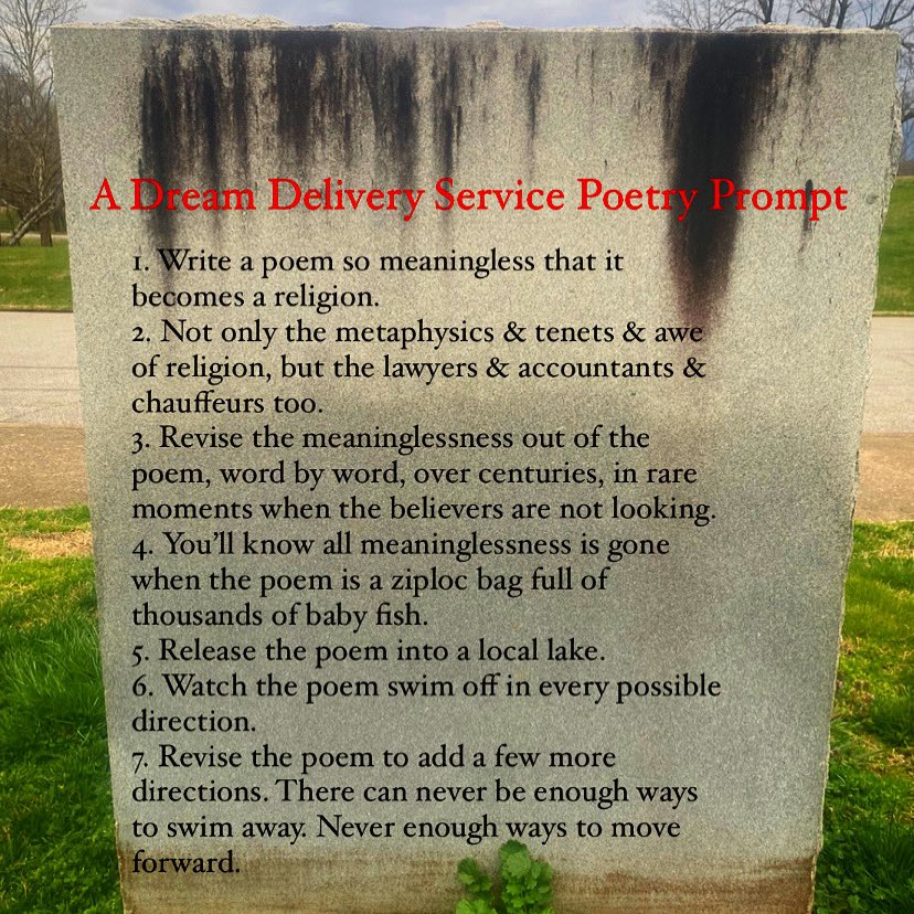 A Dream Delivery Service Poetry Prompt 

1. Write a poem so meaningless that it becomes a religion. 
2. Not only the metaphysics &amp; tenets &amp; awe of religion, but the lawyers &amp; accountants &amp; chauffeurs too.