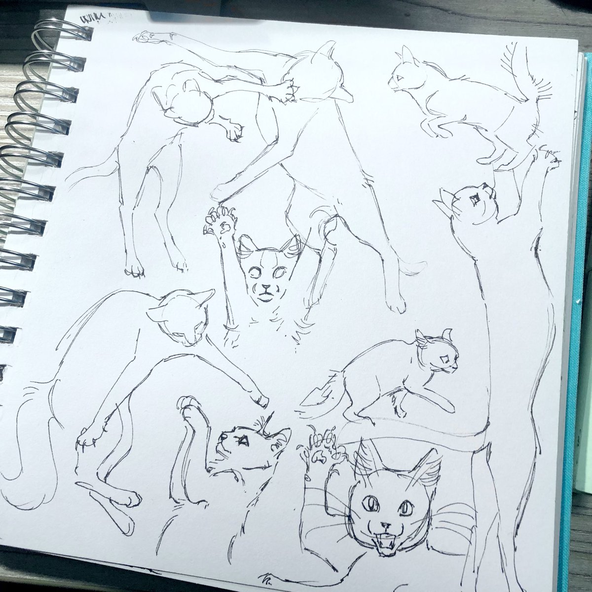 whole bunch of kitties with ink 