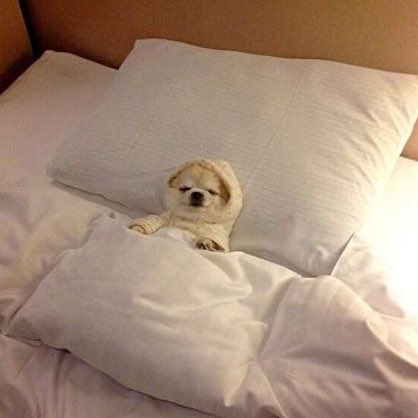 "es viernes y el cuerpo lo sabe"

mi cuerpo a las 10 de la noche: