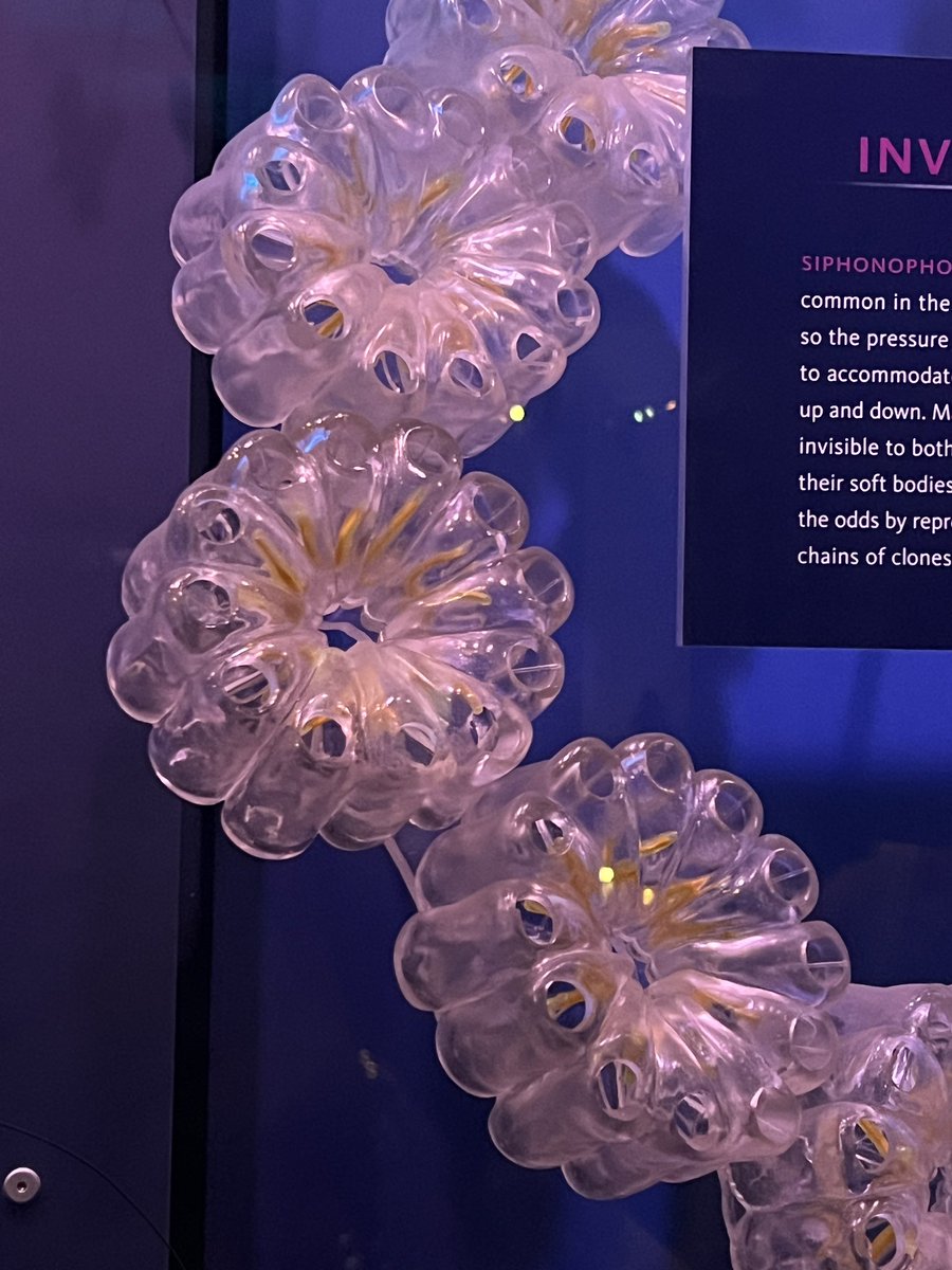 onenhillion's tweet photo. marine exhibit!! https://t.co/E1BAqcw22j
