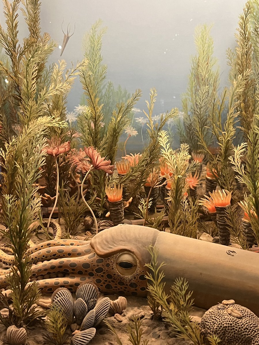onenhillion's tweet photo. marine exhibit!! https://t.co/E1BAqcw22j