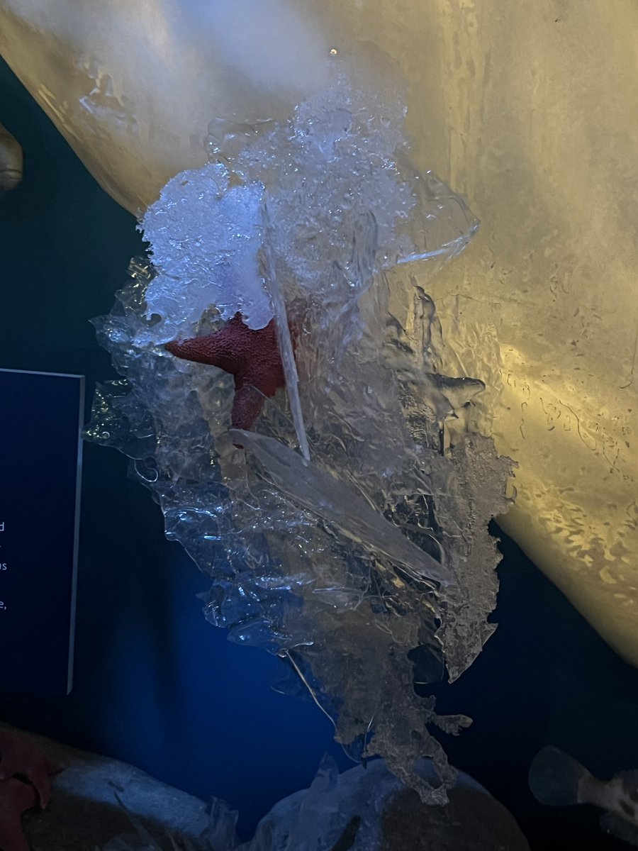 onenhillion's tweet photo. marine exhibit!! https://t.co/E1BAqcw22j