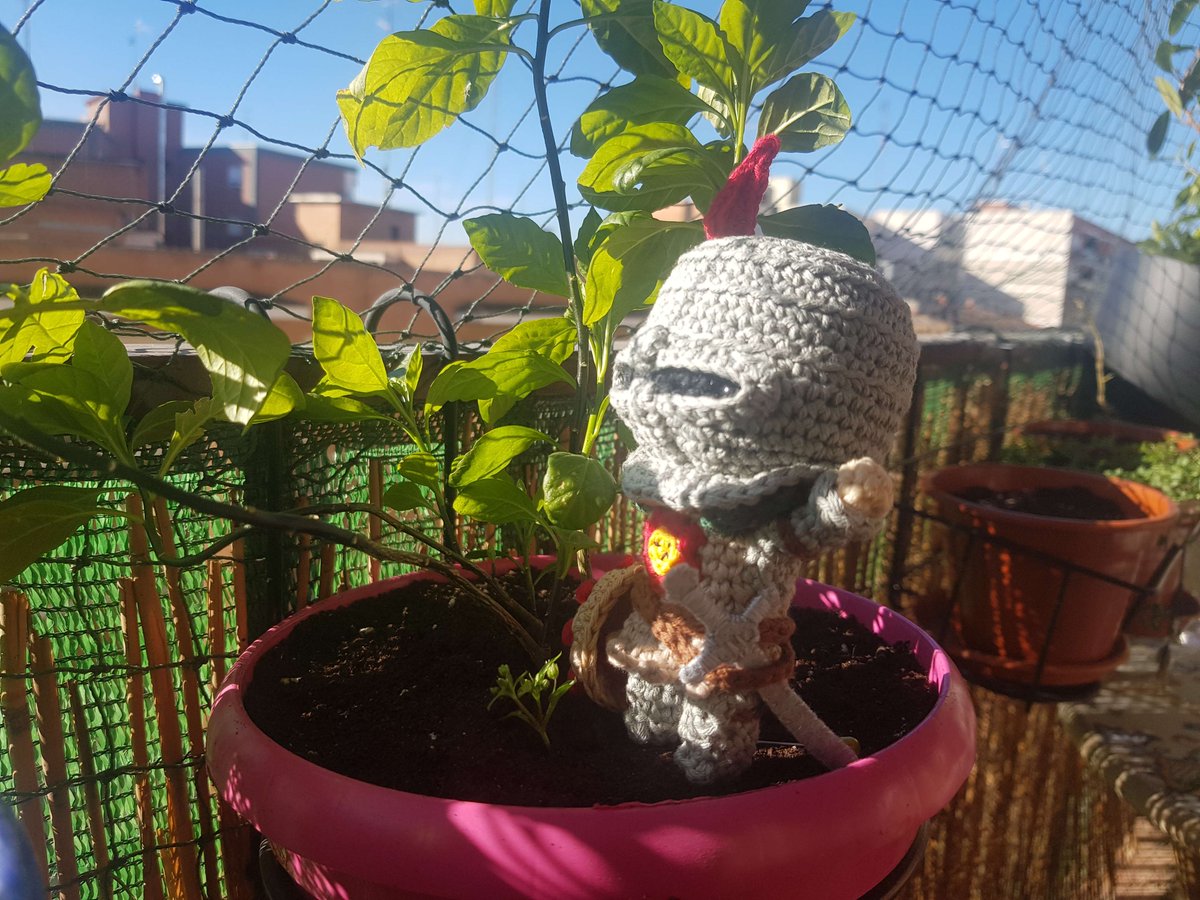 Haydra95's tweet photo. Solaire Amigurumi 😍❤️

Now available in my etsy shop 😉
https://t.co/IhkS5z6nxb

@DarkSoulsGame @fromsoftware_pr 
#amigurumi #crochet #DarkSouls #solaire #etsy #diy #handmade #FromSoftware https://t.co/pQhGIXs60d