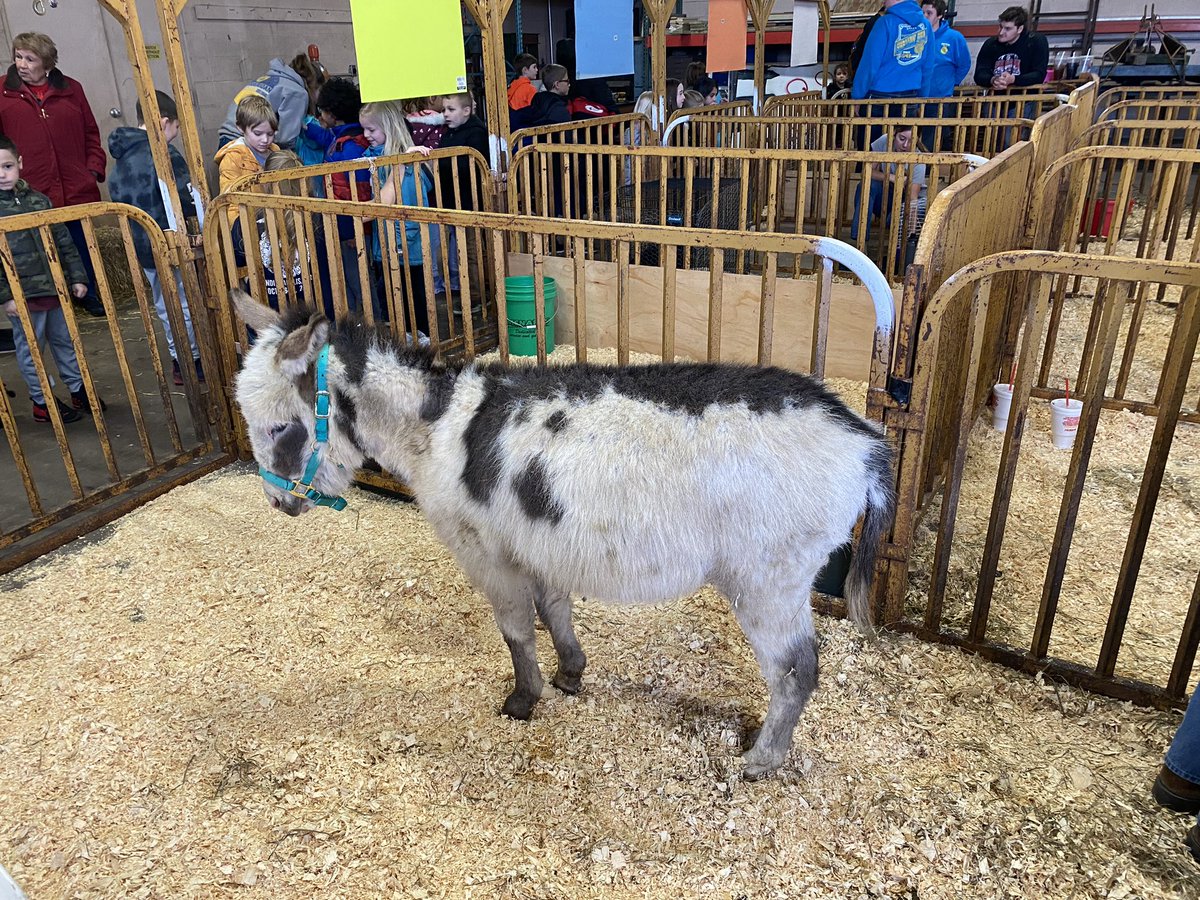 SCSSuper's tweet photo. It’s days like today that make Sheridan so special.  The FFA Petting Zoo was incredible. Great work by Mr. Ison and his entire team. https://t.co/q4T903vu7j