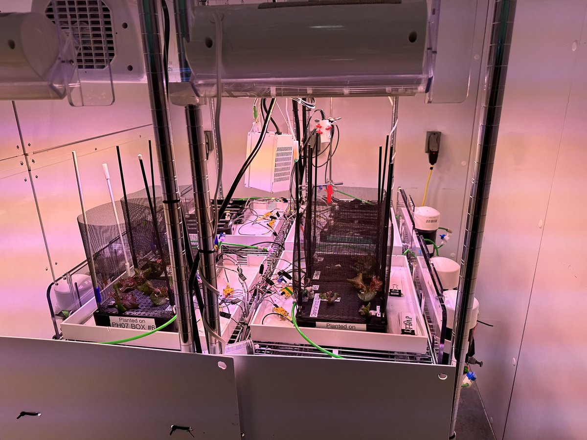 HeadwatersInst's tweet photo. Plants in space!!! So many amazing research going on. @NASASocial #space #plants #biologyscience https://t.co/8q21C785QO