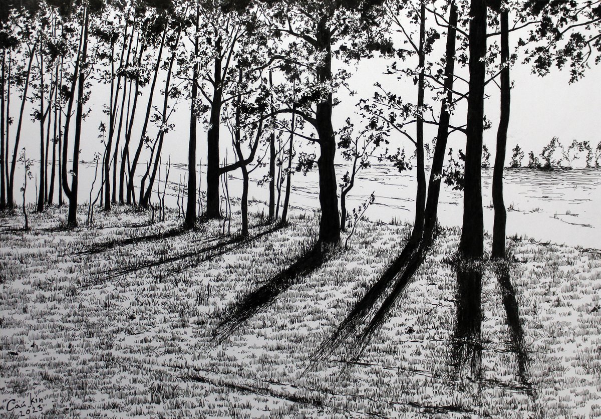 mm_graphic's tweet photo. My forest. https://t.co/5QHVrXY4tH