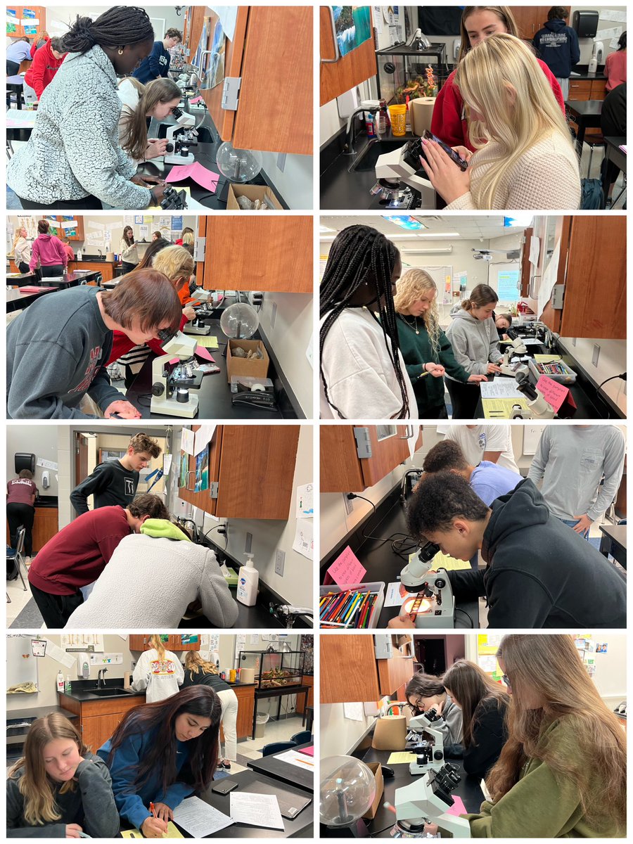 PLSAnatomy's tweet photo. 🩸 🔬 https://t.co/aUQgsxNtiJ