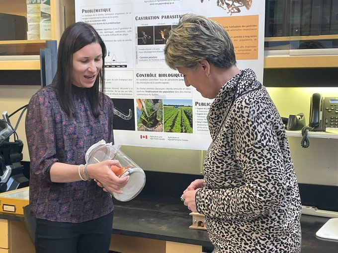 mclaudebibeau's tweet photo. Whether at the Frelighsburg Experimental Site at the #StJeanSurRichelieu R&amp;D Centre, 
@AAFC_Canada is exploring alternative methods to pesticides such as precision agriculture or process simplification. It's a way to use innovation to take care of the environment! https://t.co/7oODLE1xzy