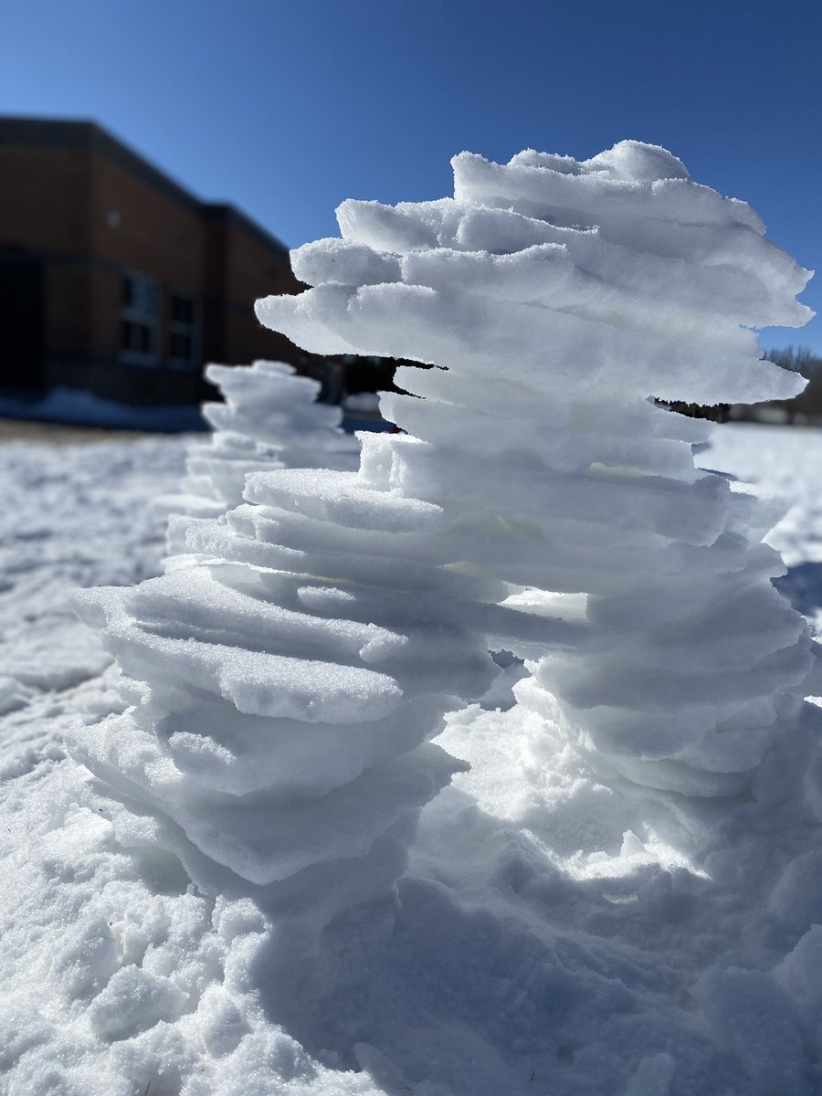 Elora Public School tweet media