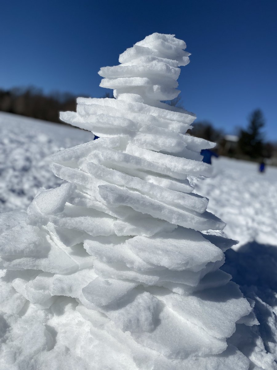 Elora Public School tweet media