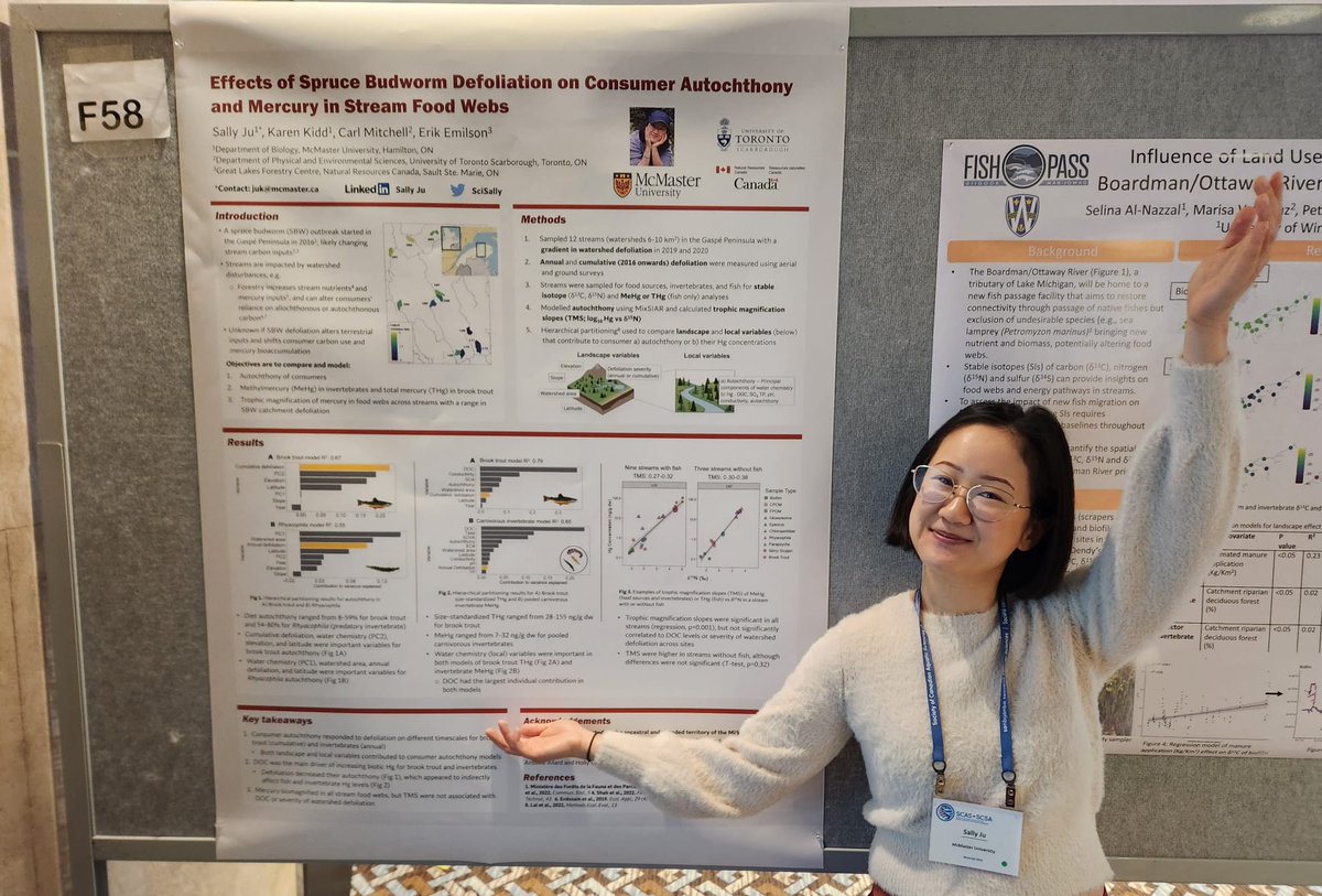 scisally's tweet image. I&apos;m sharing some findings from MSc research at the #SCAS_SCSA2023 poster session tonight! 

Come by if you want to chat about defoliation in the Gaspé peninsula, stream food webs, and mercury! 🐛🌲🐟🌊