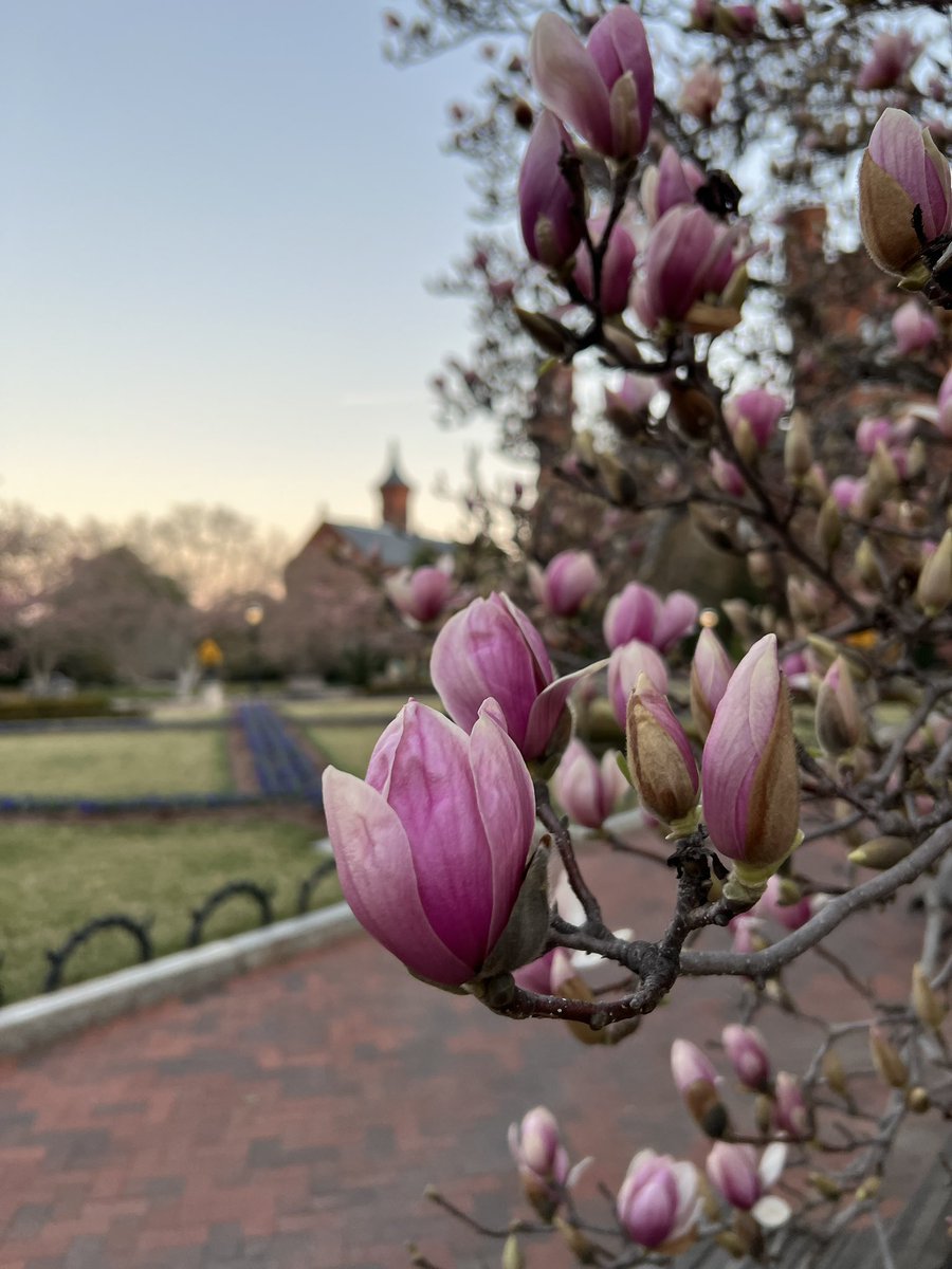Smithsonian Gardens tweet media