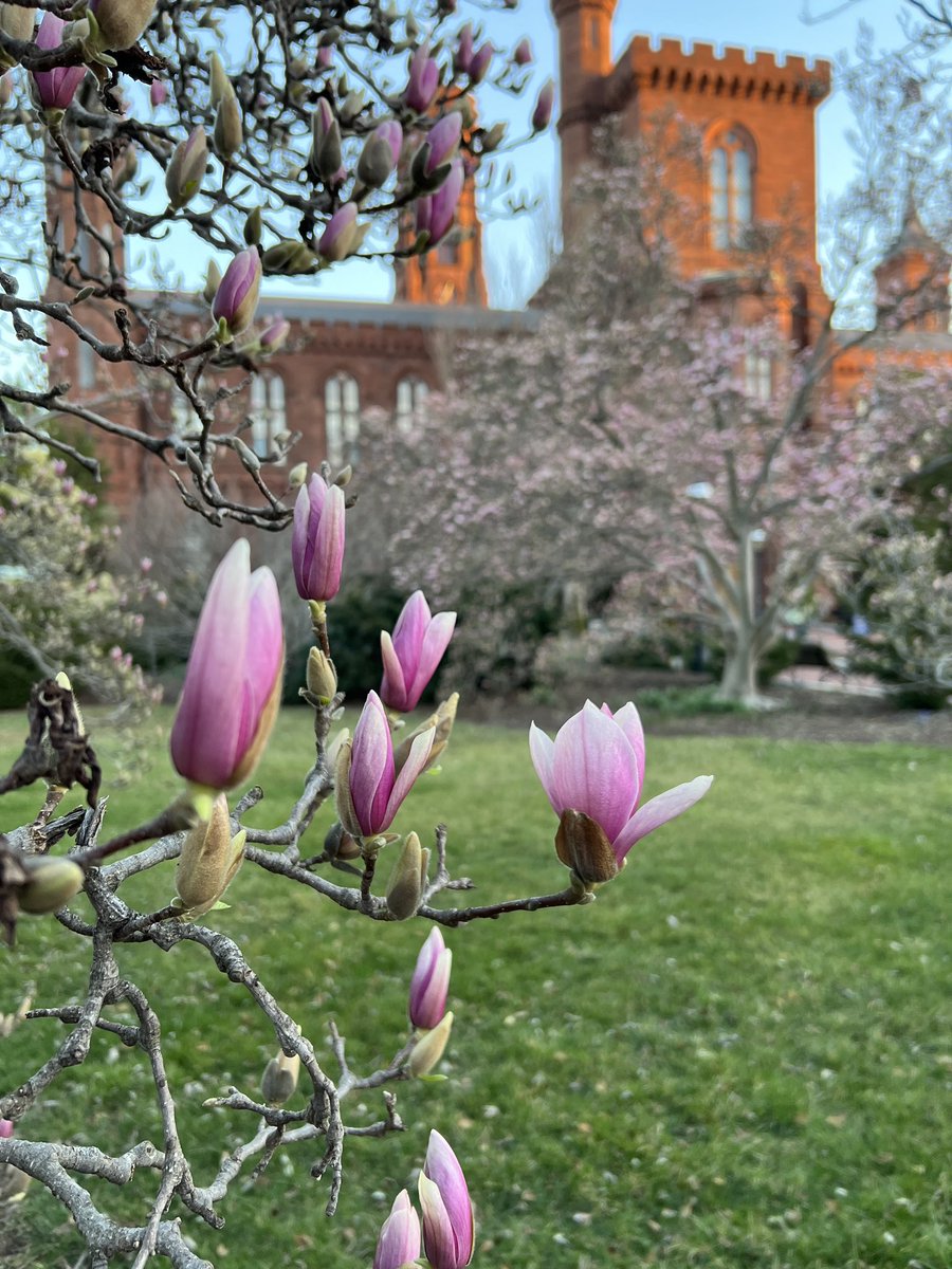 Smithsonian Gardens tweet media