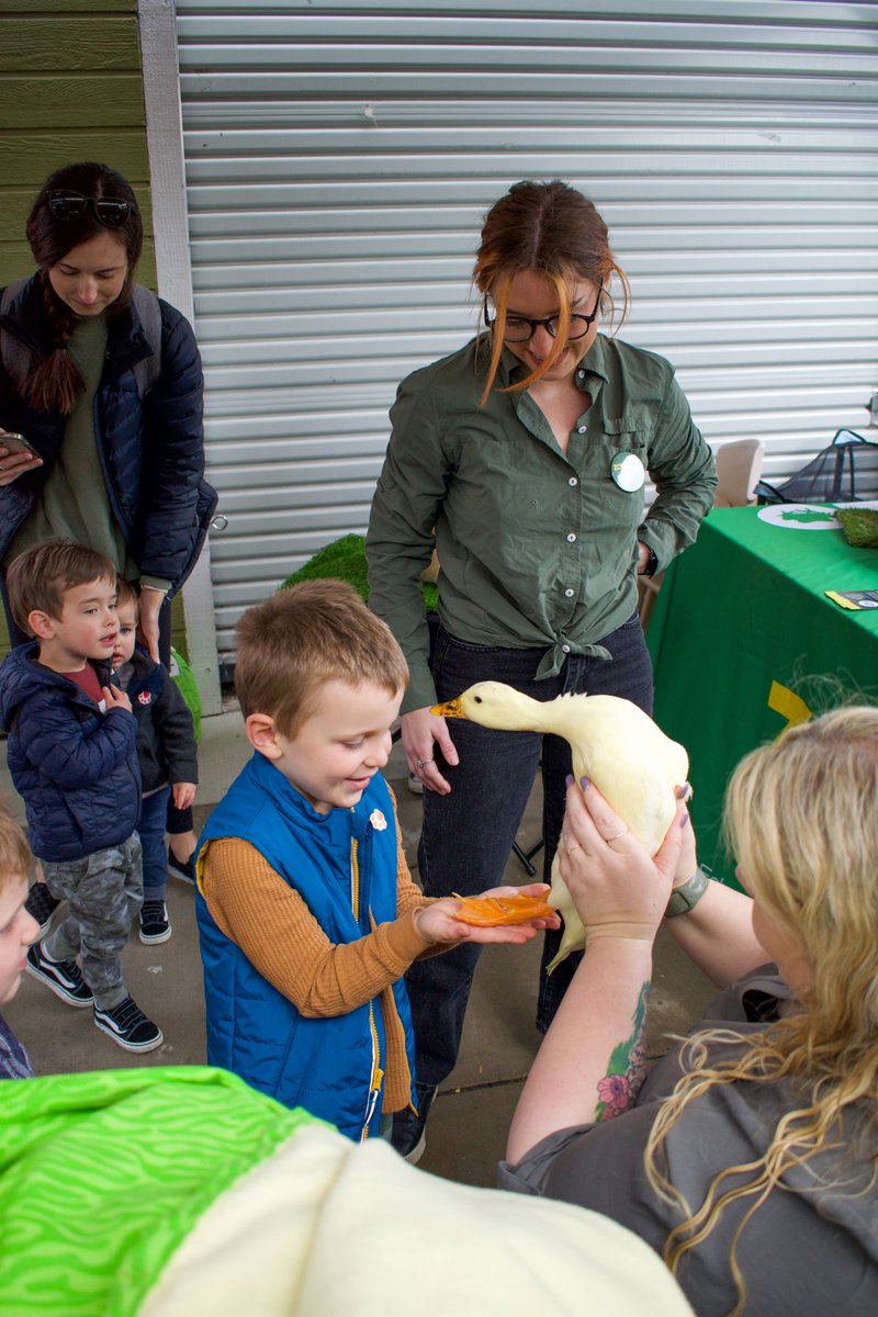 VisitCMoD's tweet photo. Fun Animal Friday with @Zovargo was un-fur-gettable! Check out highlights from today's event and get ready for next month's Fun Animal Friday with My Reptule Guys. Guests will get to meet a ball python, geckos, a tortoise, a bearded dragon, and a black milk snake on March 31. https://t.co/JjrwnbU6Dh