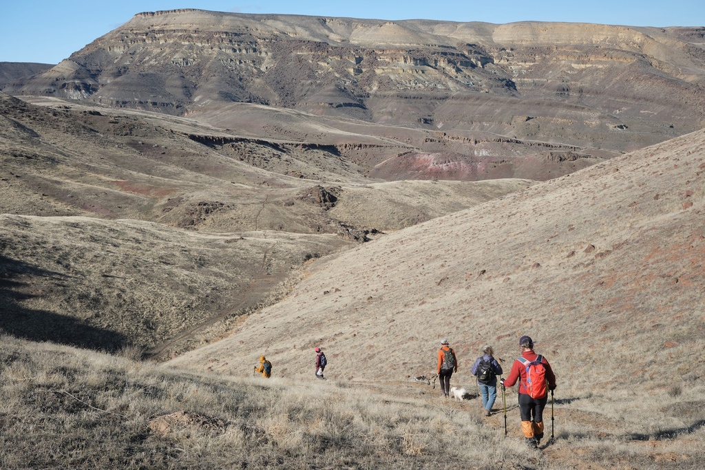 We still have a few spots left for our #OwyheeHikingClub hike next week! Get signed up, and we’ll see you out there.

📸 Randy Aarestad 

ontariorecdistrict.com/program/59115/…

#OwyheeCanyonlands #publiclands #OwyheeFriends