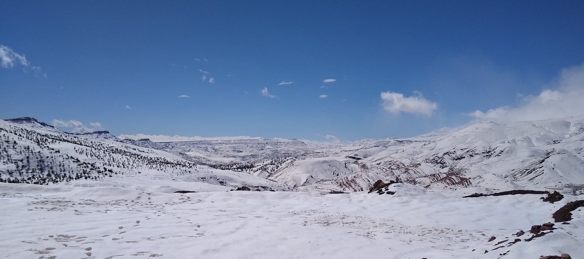 Martin Pitt tweet media