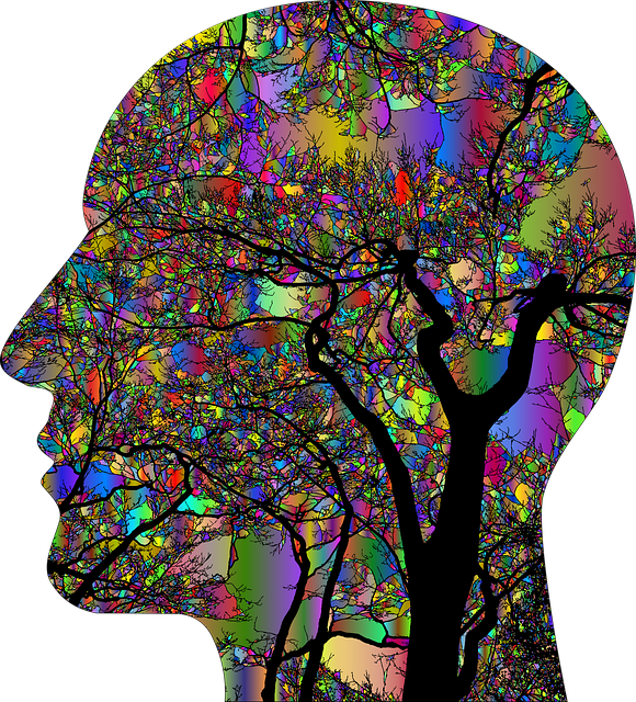 RIElderInfo's tweet photo. Is your head healthy? - https://t.co/EZ1JBtRgtY https://t.co/WC3SyZhaWg