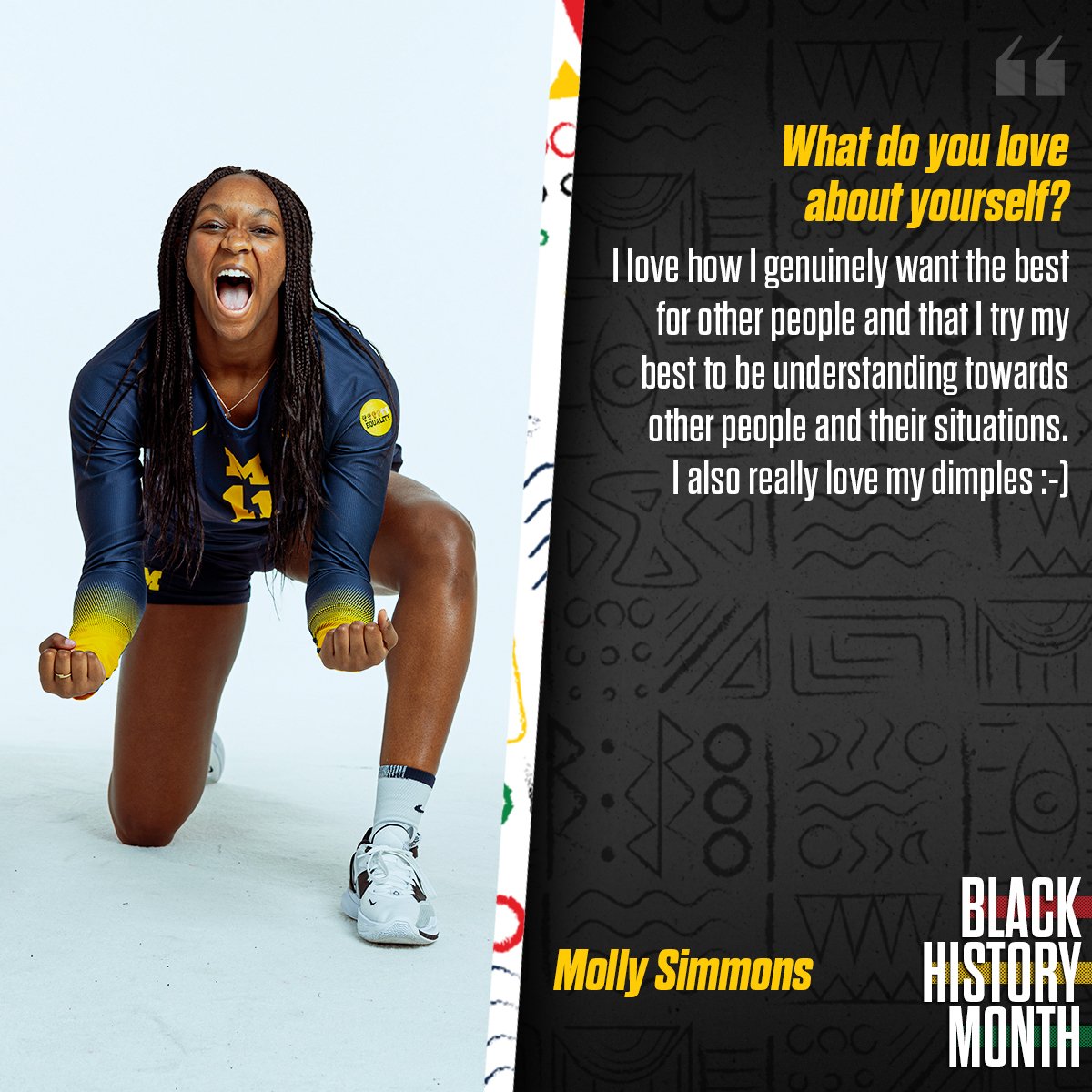 Michigan Volleyball tweet media