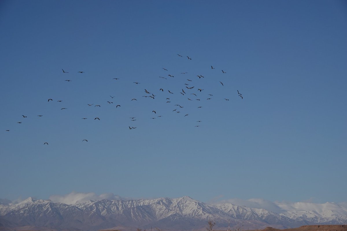 Martin Pitt tweet media