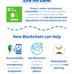 Photo by Blockchain Learning Center (@bchainlearning)