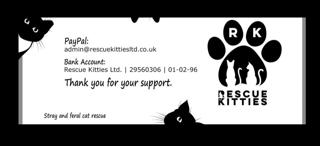 Rescue Kitties (Manchester) tweet media
