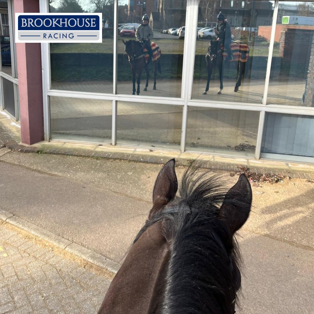 BrookhouseRacin's tweet image. Hey! You look familiar 👀

𝘾𝙖𝙧𝙙𝙖𝙣𝙤 and 𝙍𝙚𝙨𝙚𝙩 𝘽𝙪𝙩𝙩𝙤𝙣 just have to stop to admire themselves before work! 

#BrookhouseRacing #Cardarno #ResetButton