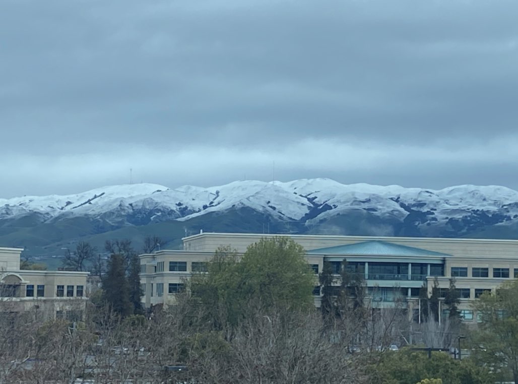 Maria Martinez tweet media