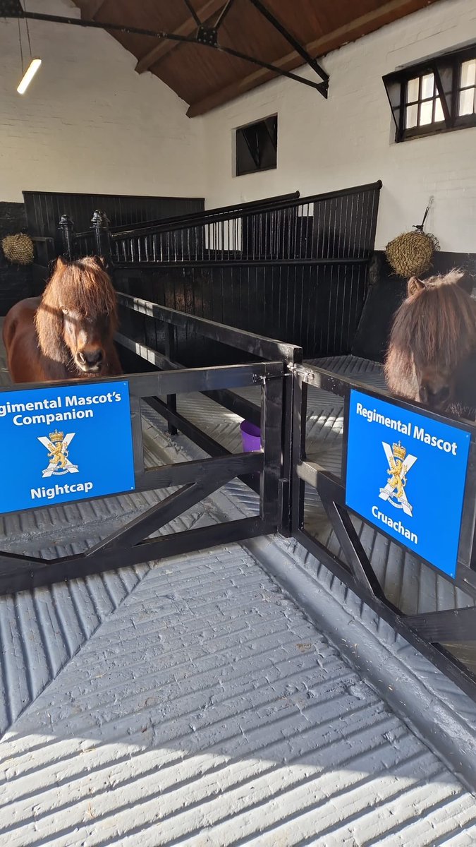 The ‘Hoomans’ from the <a href="/The_SCOTS/">The SCOTS</a> have made it a very happy Friday for me and my Pal Nightcap. 🐴

We hope you all have the Friday feeling.

#NewStables #HardWork #Weekend