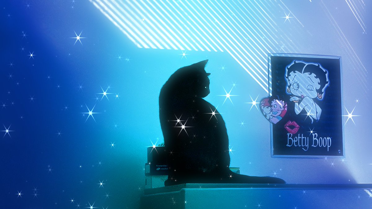 CopperScale's tweet image. Sammy on my dresser
#photography #filterforge #bettyboop #BlackCat  #CatsOfTwitter  #catsnoirfriday