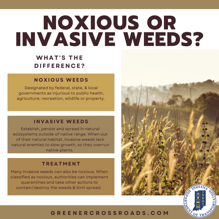 INDOT On Twitter This Week We Are Talking About Invasive Species indot-on-twitter-this-week-we-are-talking-about-invasive-species