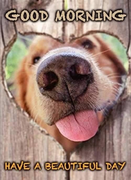 🇦🇺🐾🐶🥰💕Haves a luvly weekend!💕🥰🐶🐾🇦🇺