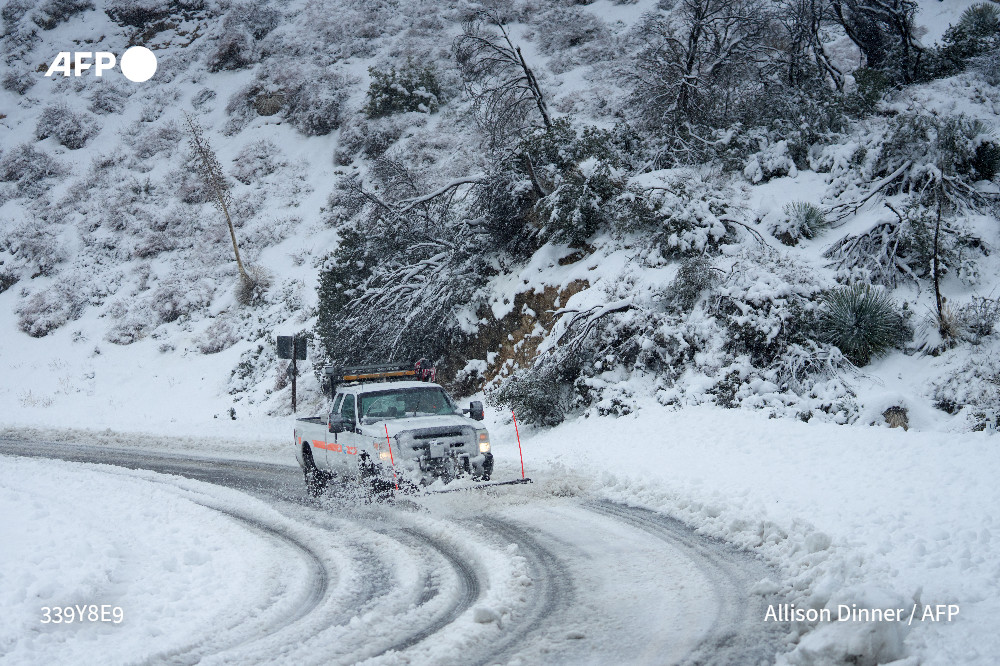 AFP News Agency tweet media