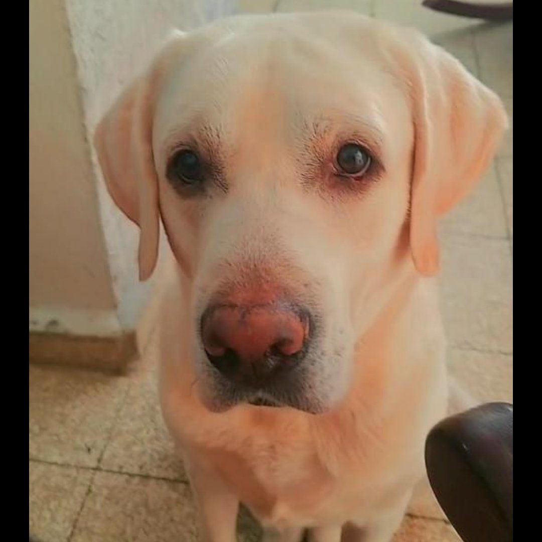 Desde hace un año te extraño todos los días precioso 💔. Send to sky ❤️‍🩹