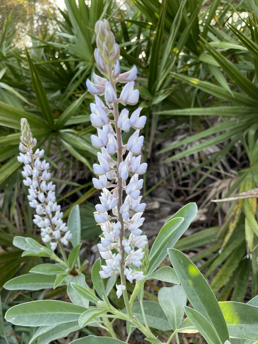 Ken Gioeli tweet media