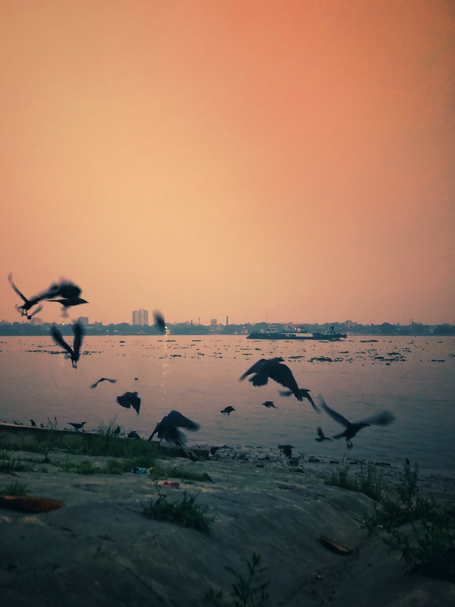imshouvik02's tweet image. #a52s5g
#samsung
#Ganga