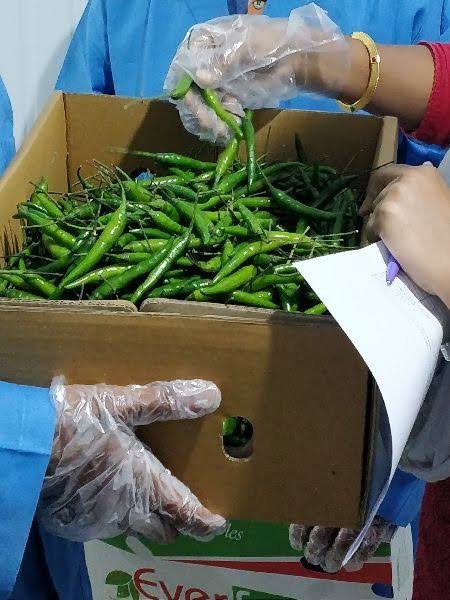 Talpur Traders tweet media