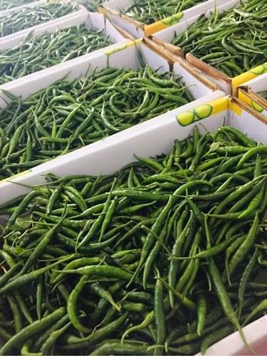 Talpur Traders tweet media