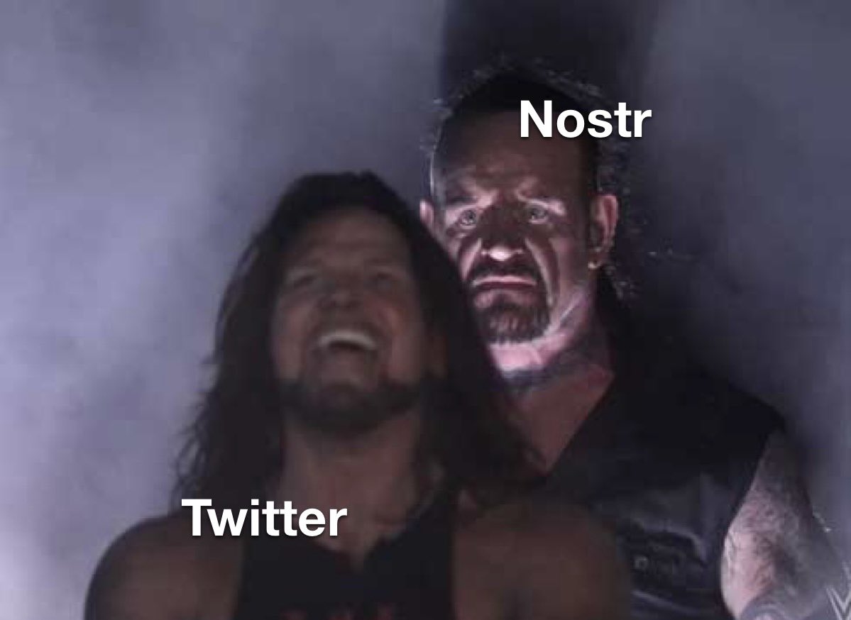 pingsta🕳🐇🟠 tweet media