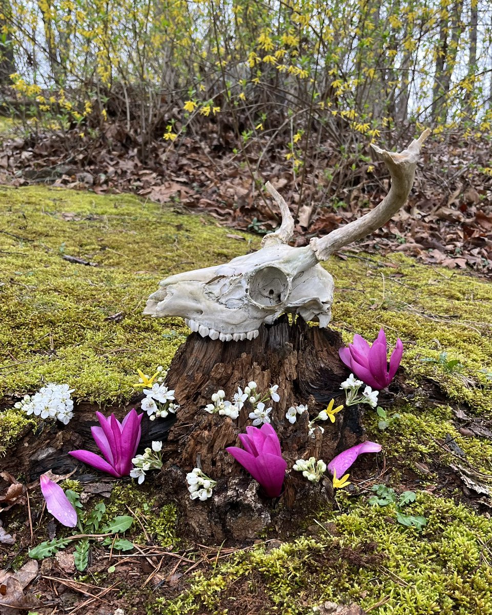 Thedeepestshade's tweet photo. The only thing that stays the same is change… just breathe. #deathislife #circles #shoegaze #sad #beautiful #altrock #doom #heavy #skulls #flowers #music #seasons https://t.co/GrahgRzPCN