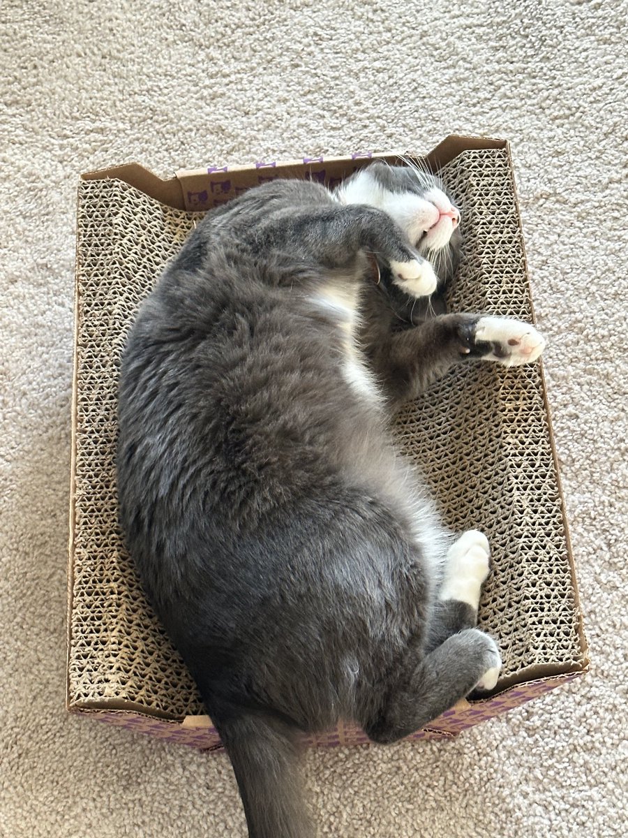 pcatmac1's tweet image. do it for him